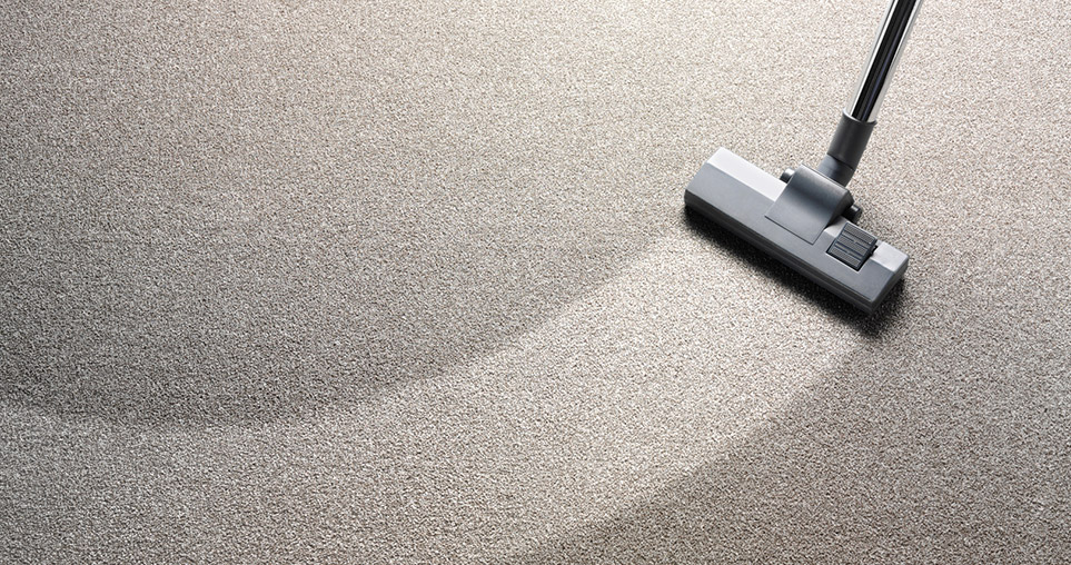 Webfarmer Carpet Cleaning Perth Guide