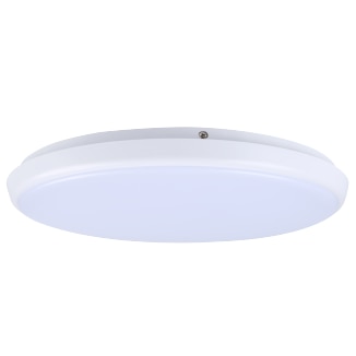 Led Oyster Ceiling Lights