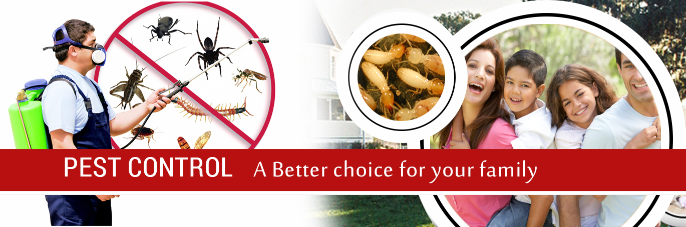 Pest Control Melbourne