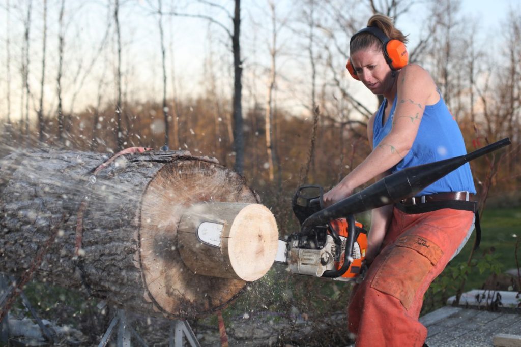 Professional Tree Removal Adelaide