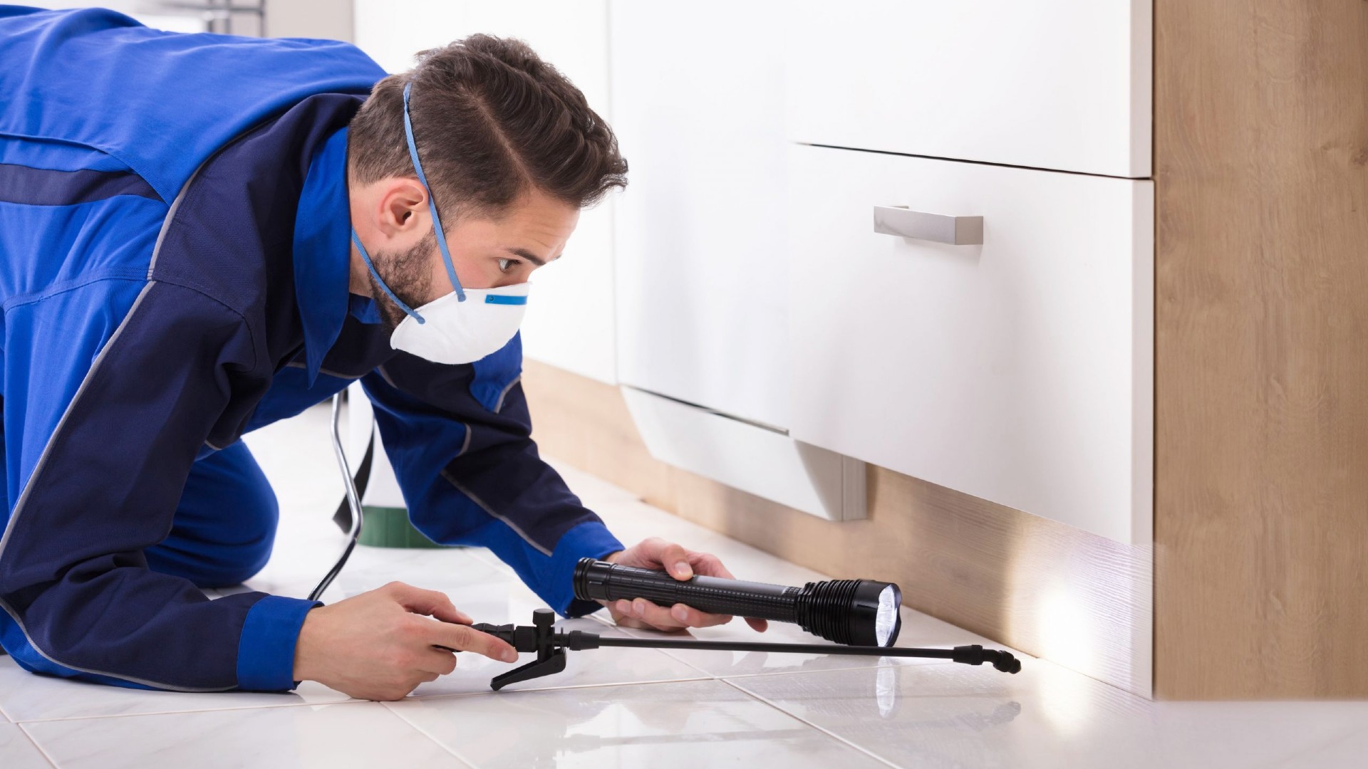 Контроль сервис. Pest Control Technician. Pest стоковые картинки. Home Inspection Termite. Pest Control household.